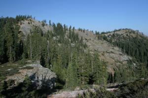 736423 copy (Custom)