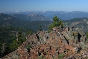 736429 copy (Custom)