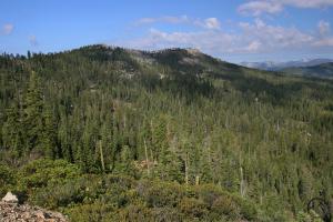 736430 copy (Custom)