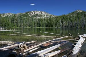 Trinity Divide, Mumbo Basin - July2011 071 copy (Custom)