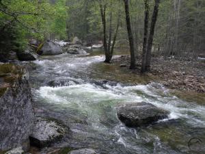 2013-05-08 14.58.51 copy (Custom)