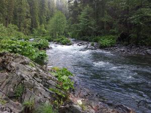 2013-05-28 07.30.28_edited-1 (Custom)