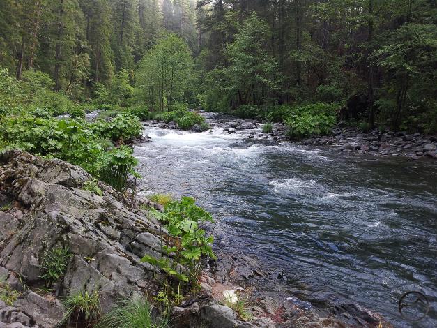The McCloud River flows through its preserve