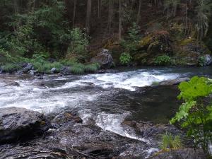 2013-05-28 07.45.38_edited-1 (Custom)