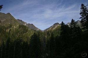 The view through the trees. 1 (Custom)