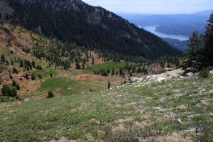 305756 copy (Custom)