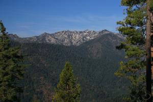 305763 copy (Custom)