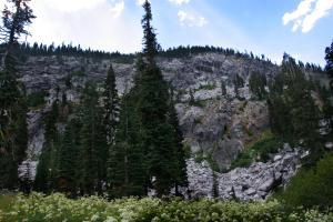 583366 copy (Custom)