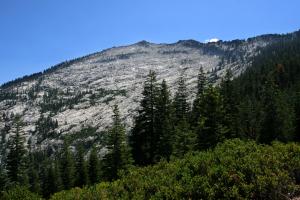 583386 copy (Custom)