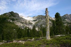 Canyon walls of Canyon Creek. 6 (Custom)