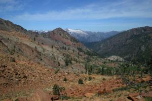 782080 copy (Custom)