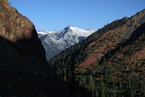 782081 copy (Custom)