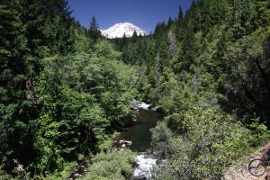 Cascades, Hedge Creek Falls - June2013 025a copy (Custom)