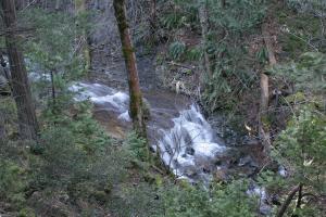 Cascades, Hedge Creek Falls - March2013 046_edited-1 (Custom)