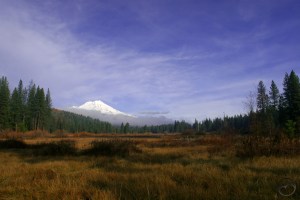 Cascades, Mt. Shasta - Nov2008 042