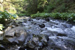 Cascades, Squaw Valley Creek - June2013 081 copy (Custom)