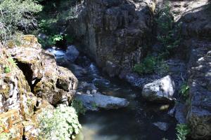 Cascades, Squaw Valley Creek - June2013 088_edited (Custom)