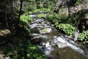 Cascades, Squaw Valley Creek - June2013 099 copy (Custom)