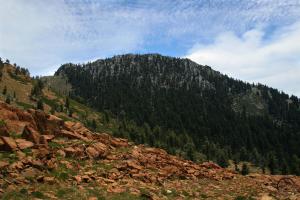 306303 copy (Custom)