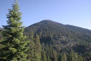 306313 copy (Custom)