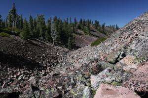 Cascades, Black Butte - July2013 015_edited-1 (Custom)