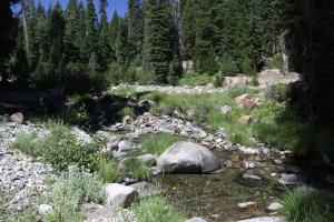 Tangle Blue Creek near the trailhead. Tangle Blue Lake (1) (Custom)