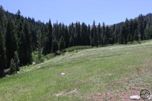 Tangle Blue Meadow, near the Messner Cabin site. Tangle Blue Lake (4) (Custom)