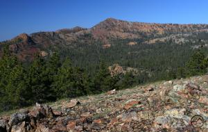 527498 copy (Custom)