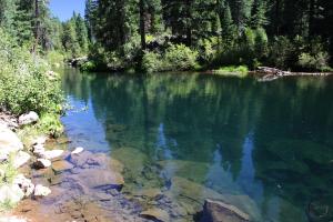 Cascades, McCloud River - Aug2013 005 copy (Custom)