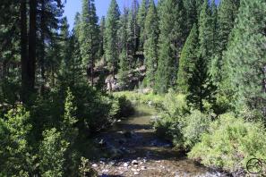 Cascades, McCloud River - Aug2013 008 copy (Custom)