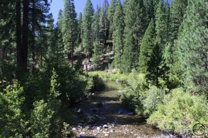 Cascades, McCloud River - Aug2013 008 copy (Custom)