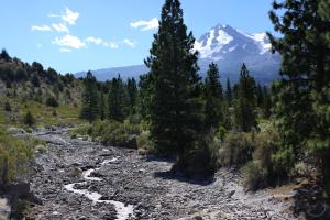 Cascades, Mt. Shasta,Whitney Creek - Aug2013 008_edited-1 (Custom)