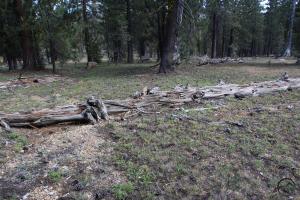 Scott Mountains, Bluff Lake - August2013 027 copy (Custom)