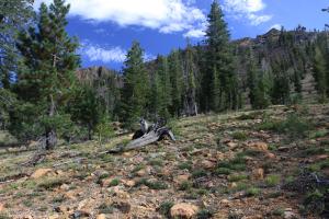 Scott Mountains, Bluff Lake - August2013 040 copy (Custom)