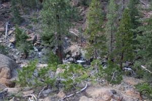 Sisson-Callahan (10)