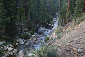 Sisson-Callahan (11)