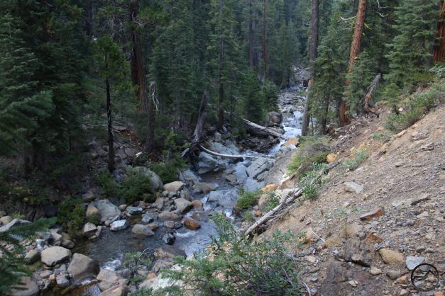 Sisson-Callahan (11)