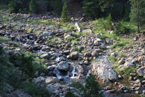 Sisson-Callahan (14)