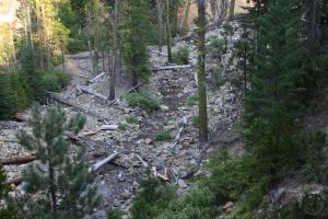 Sisson-Callahan (15)