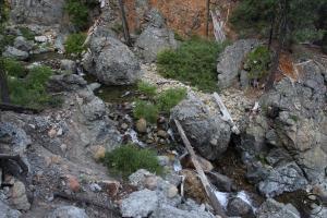 Sisson-Callahan (16)