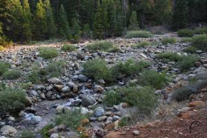 Sisson-Callahan (17)