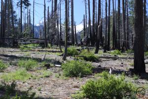 Trinity Alps, Grizzly Lake - June2013 005 copy (Custom)