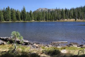 Trinity Divide, Gumboot Lake - August2013 019  (Custom)