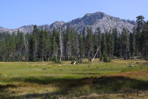 Trinity Divide, Tamarack Lake - July2013 004 copy (Custom)