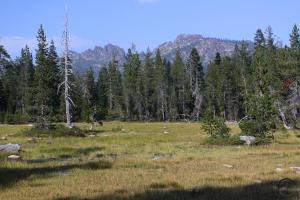 Trinity Divide, Tamarack Lake - July2013 005 copy (Custom)