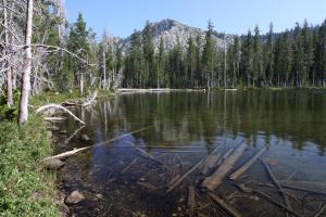 Trinity Divide, Tamarack Lake - July2013 008 copy (Custom)