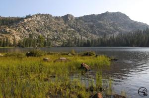 Trinity Divide, Tamarack Lake - July2013 049 copy (Custom)