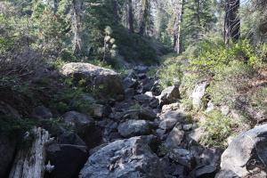 Trinity Divide, Tamarack Lake - July2013 052 copy (Custom)