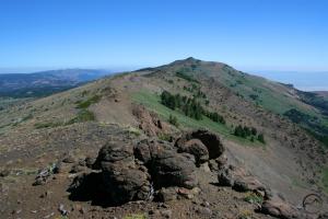 464711 copy (Custom)