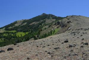 485699 copy (Custom)